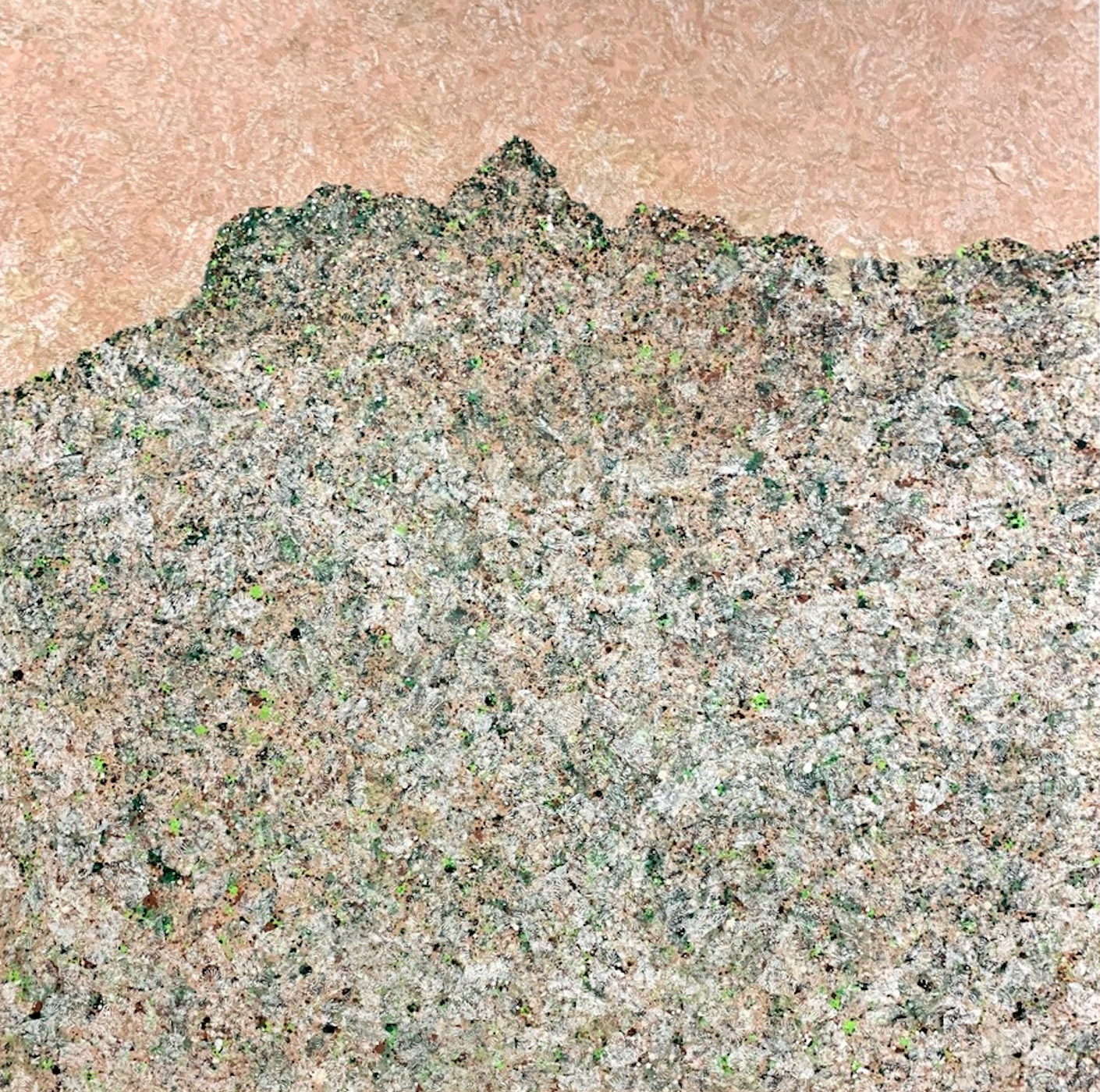 Sakura: A Season of Becoming at Romanian Cultural Institute